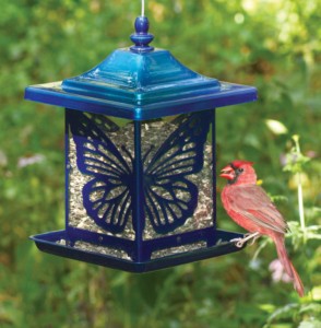 (image for) Monarch Electric Blue