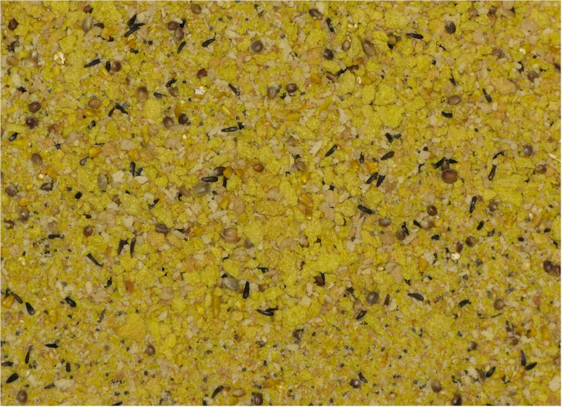 Higgins Proteen Eggfood, 20 lbs (image for) Higgins Proteen Eggfood, 20 lbs