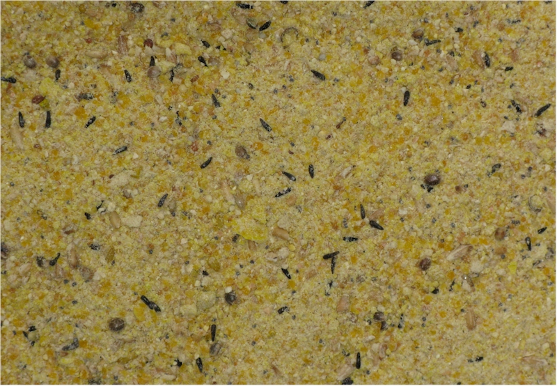 (image for) Petamine Nestling Formula, 20 lbs