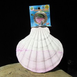 (image for) Pollys Comfy Clam Buddy, 9 oz