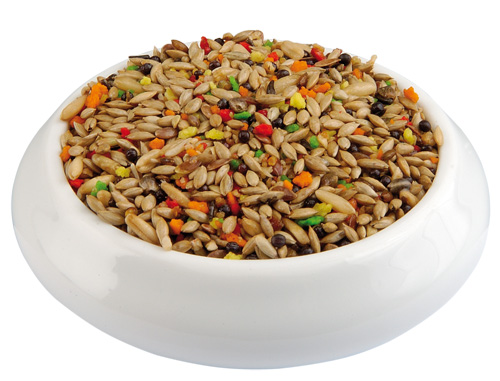 (image for) Raff Canarito (canary), 7.5 g/16.5 lbs (15-500 g boxes)