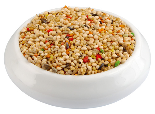 (image for) Raff Esotici (finches), 9.6 kg/21.12 lbs (24-400 g boxes)