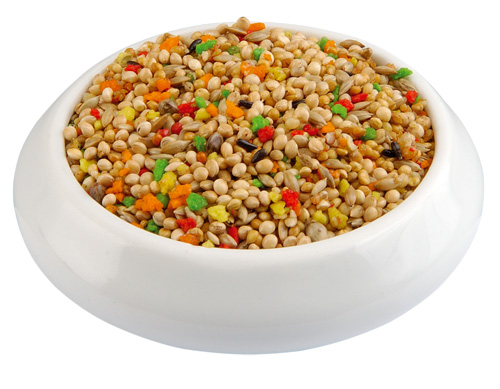 (image for) Raff Exotic (finch), 7.5 kg/16.5 lbs (15-500 g boxes)