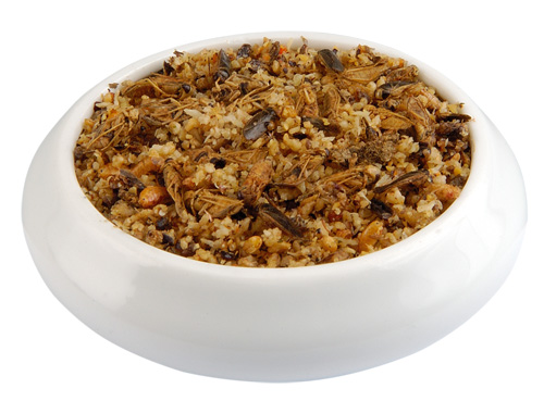 (image for) Raff Patee con Insetti, 6 kg/13.2 lbs (15-400 g boxes)