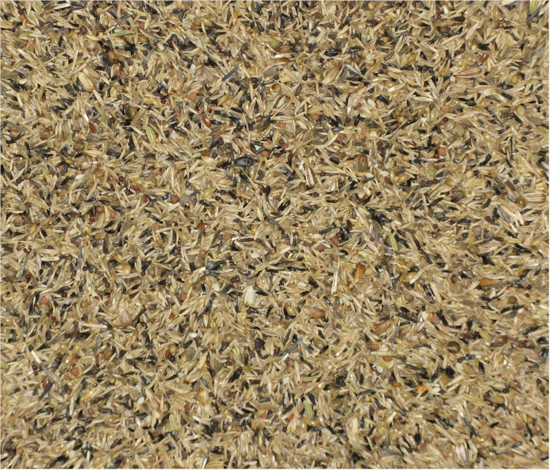 (image for) Penn Seed Sidekick Condition 500 g (1.1 lbs) Zip Bag